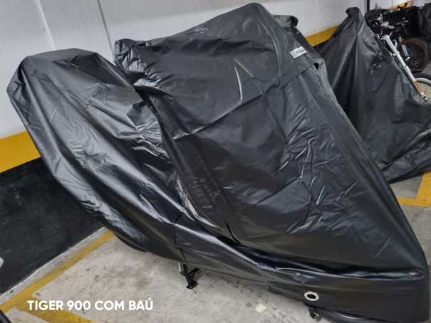 Tiger-900-bau